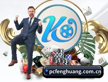 凤凰体育 APP 深度功能