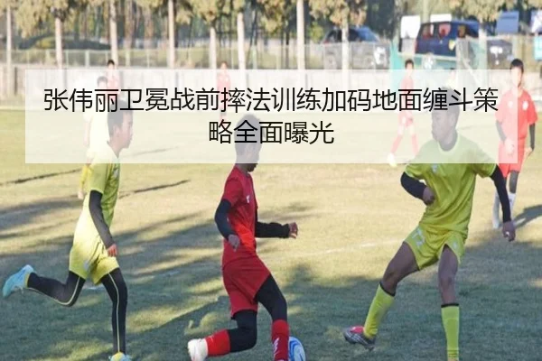 张伟丽卫冕战前摔法训练加码地面缠斗策略全面曝光